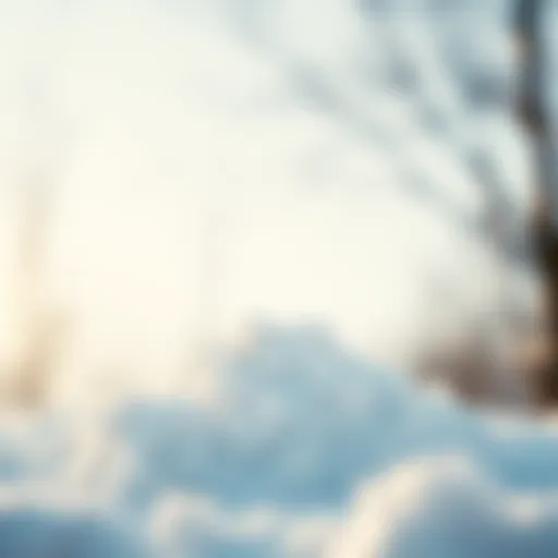 Understanding the Snowball Method Visual representation of the snowball method in debt repayment