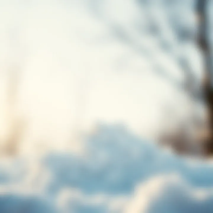 Understanding the Snowball Method Visual representation of the snowball method in debt repayment