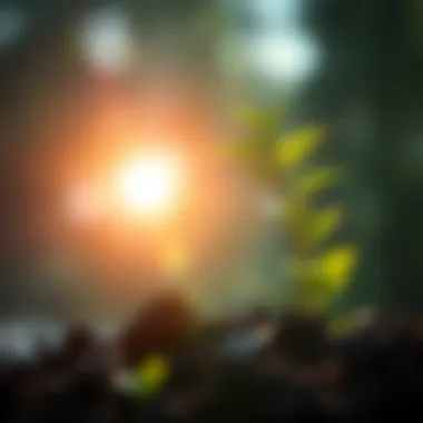 Nurturing Investment Growth for Prosperity A flourishing plant symbolizing growth in investments