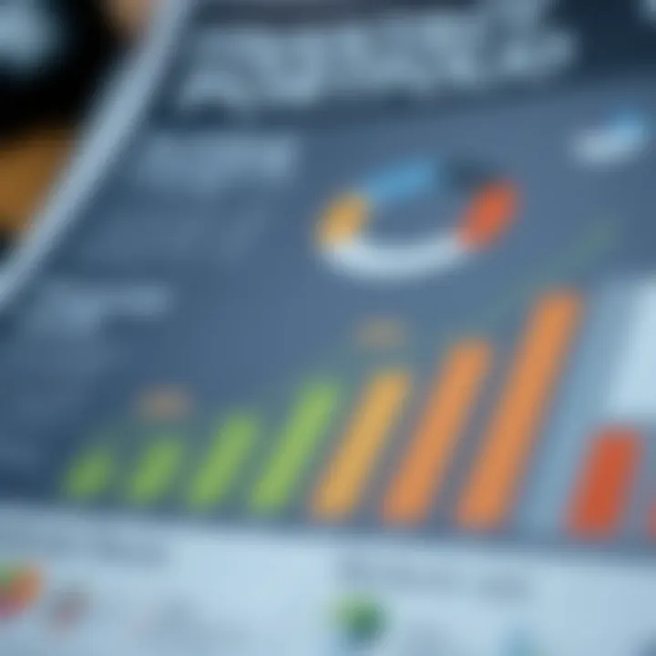 Infographic on Building a Robust Financial Portfolio Infographic on building a robust financial portfolio