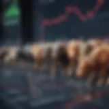 Bullish stock market trend analysis